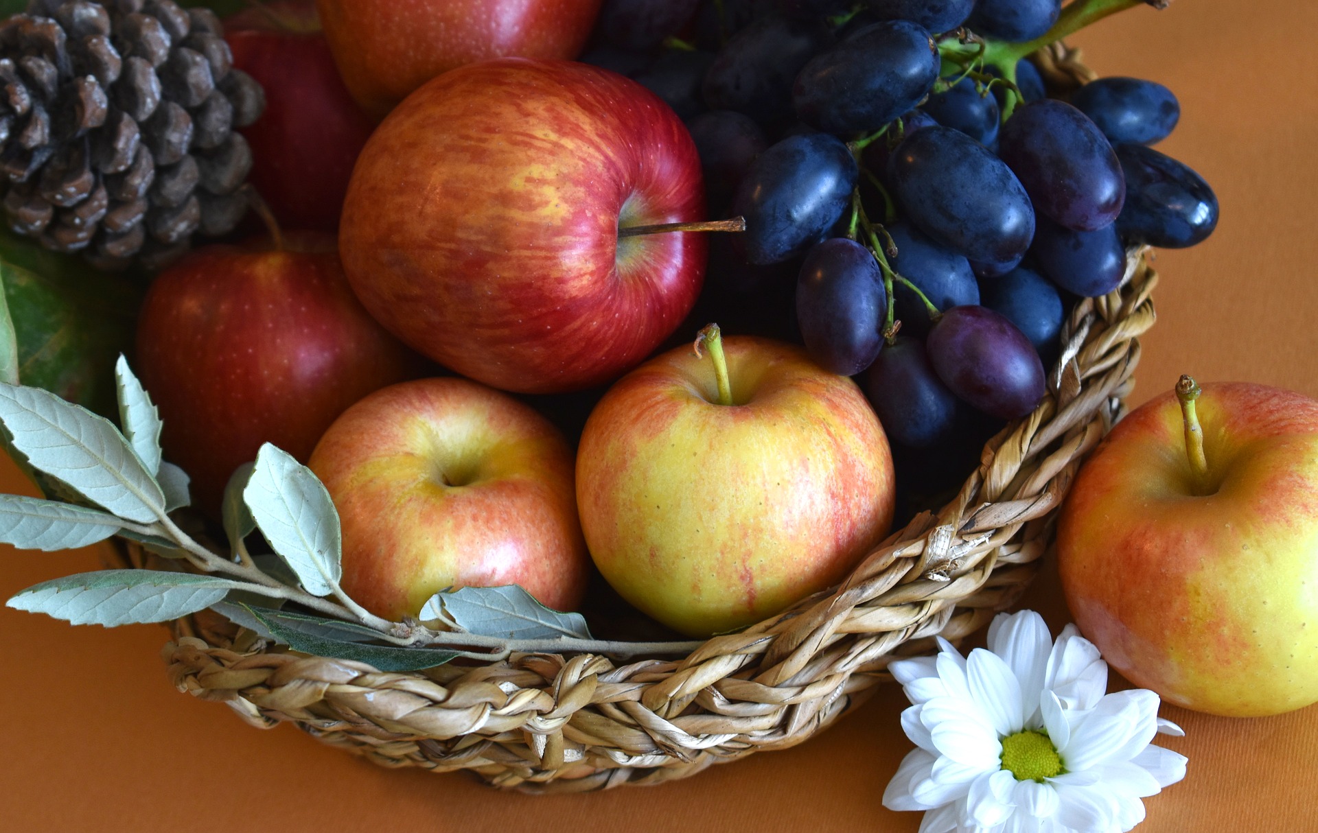 Panier de fruits et légumes © Marijana1 -Pixabay